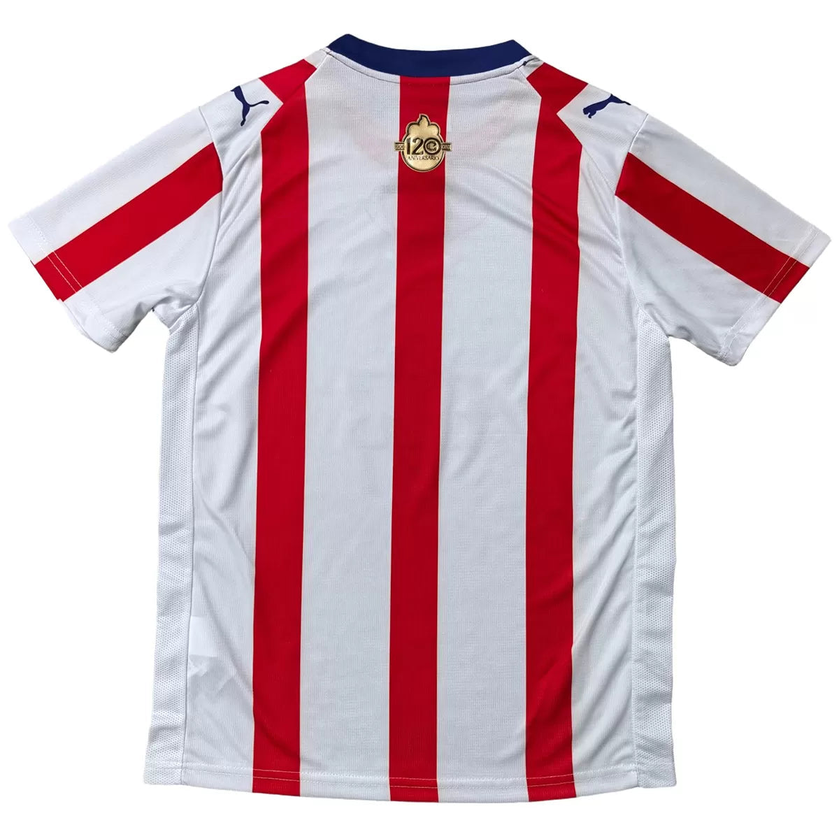 Chivas 120th Anniversary Kit Jersey 2026 - Fan Version