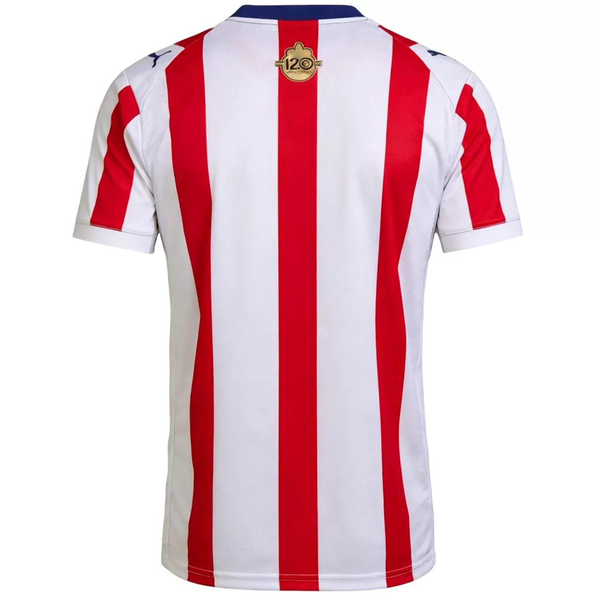 Chivas 120th Anniversary Kit Jersey 2026 - Fan Version